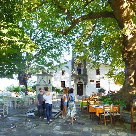 Archontiko Michael Pelion Aparthotel Vizitsa Exterior foto