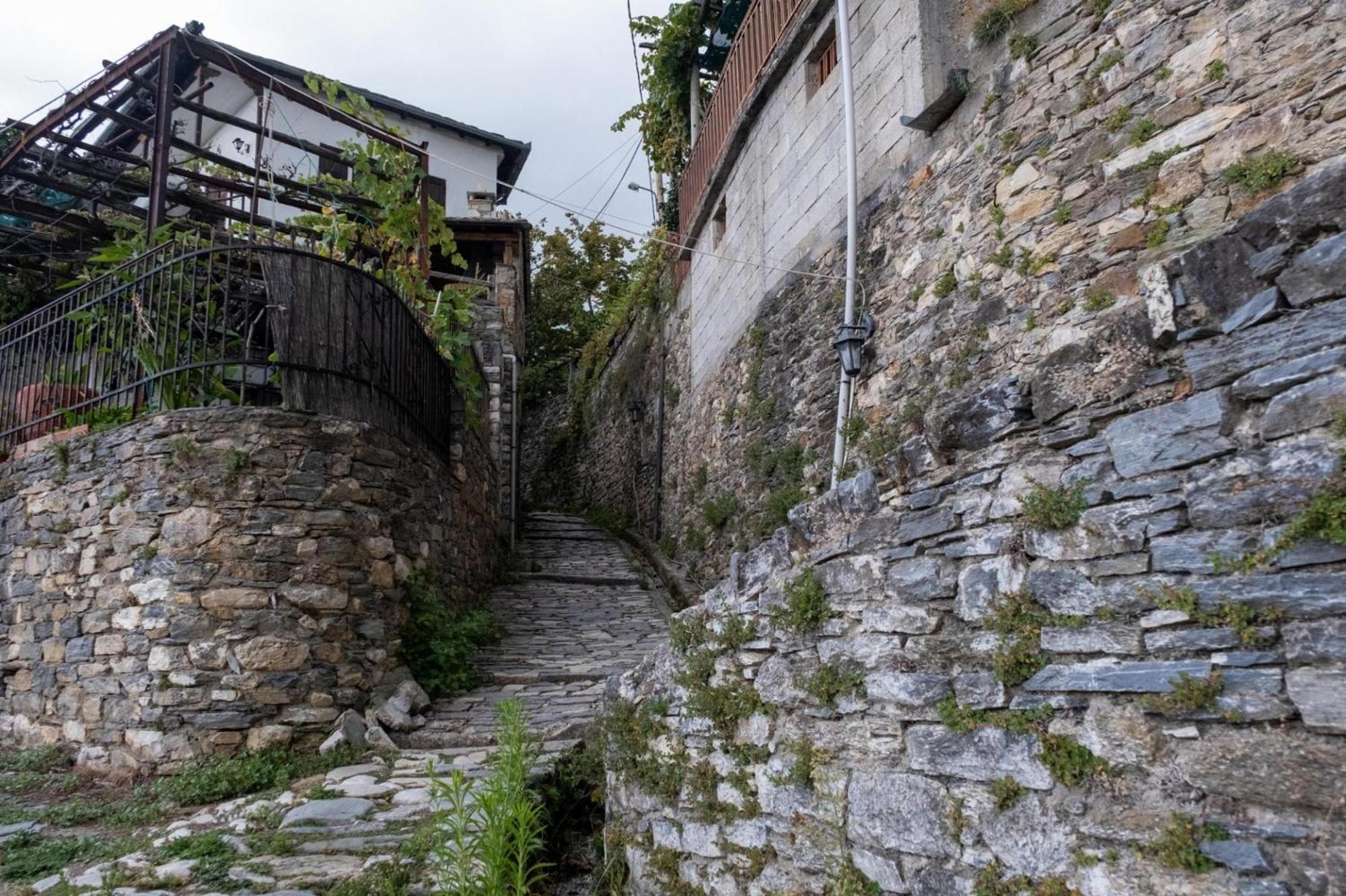 Archontiko Michael Pelion Aparthotel Vizitsa Exterior foto