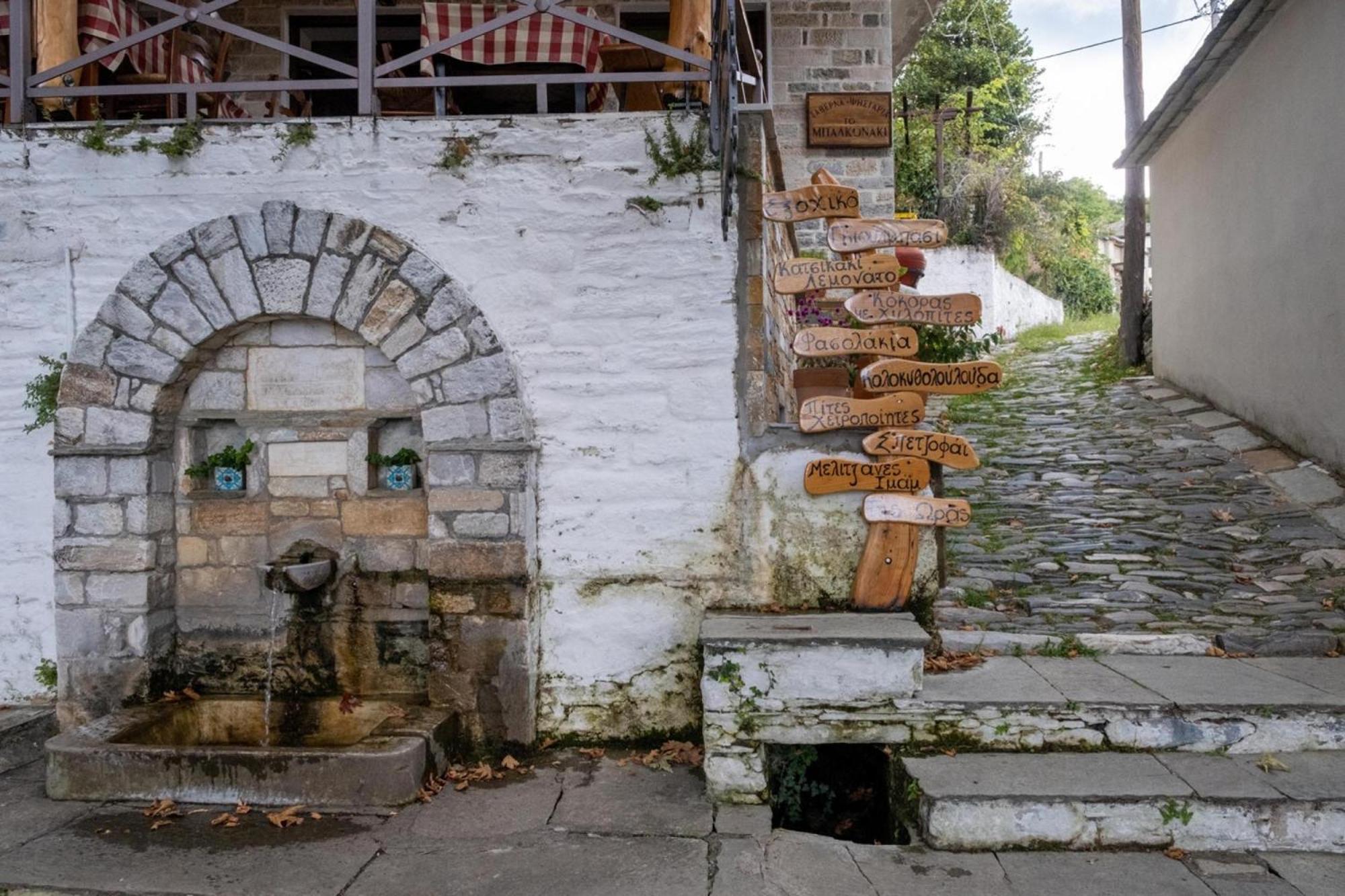 Archontiko Michael Pelion Aparthotel Vizitsa Exterior foto