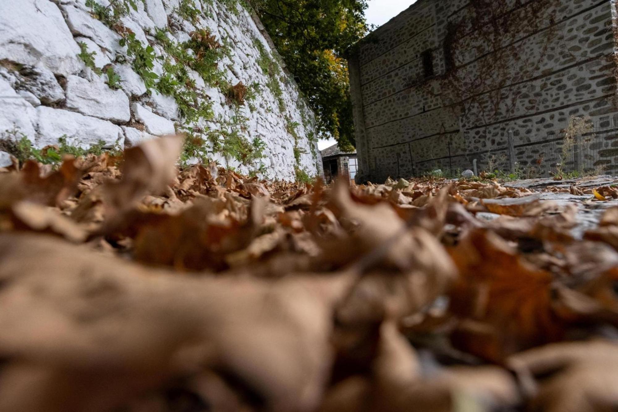 Archontiko Michael Pelion Aparthotel Vizitsa Exterior foto